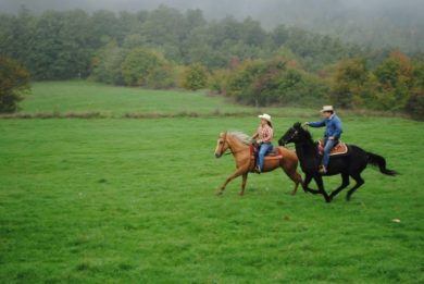 Passeggiate a cavallo