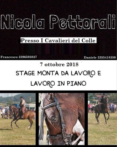 Monta da lavoro con Nicola Pettorali 21 Ottobre